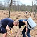 Thousands of trees planted in Fort McCoy training areas during week of Arbor Day