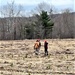 Thousands of trees planted in Fort McCoy training areas during week of Arbor Day