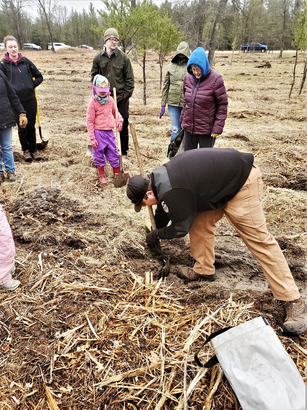 Thousands of trees planted in Fort McCoy training areas during week of Arbor Day