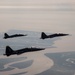 T-38As fly in Sentry Savannah
