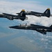 T-38As fly in Sentry Savannah