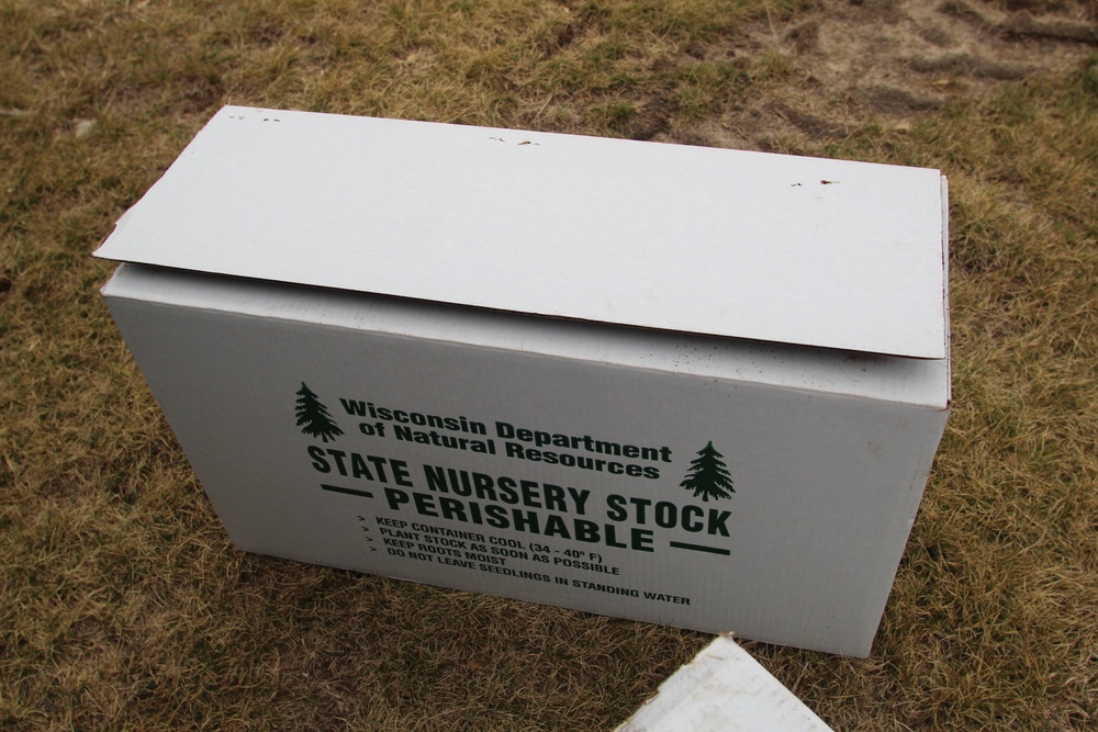 Thousands of trees planted in Fort McCoy training areas during week of Arbor Day