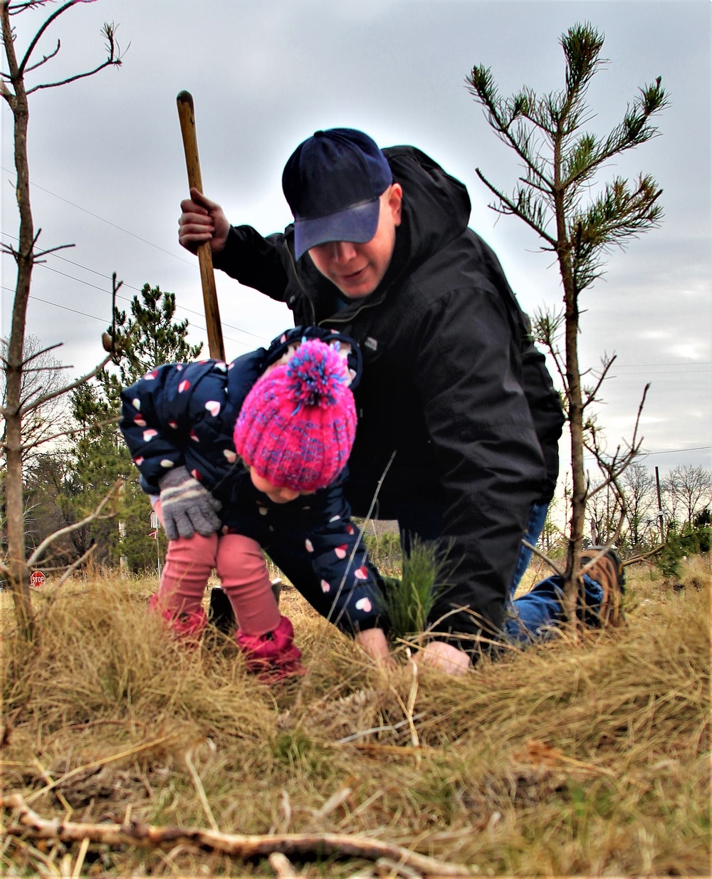 Thousands of trees planted in Fort McCoy training areas during week of Arbor Day