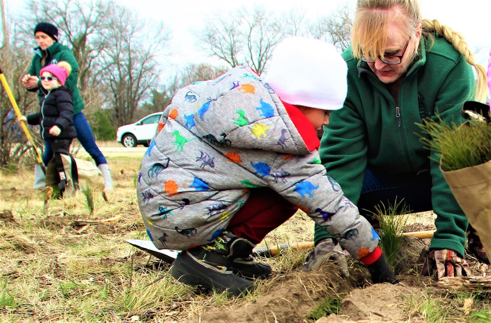 Thousands of trees planted in Fort McCoy training areas during week of Arbor Day