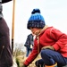 Thousands of trees planted in Fort McCoy training areas during week of Arbor Day