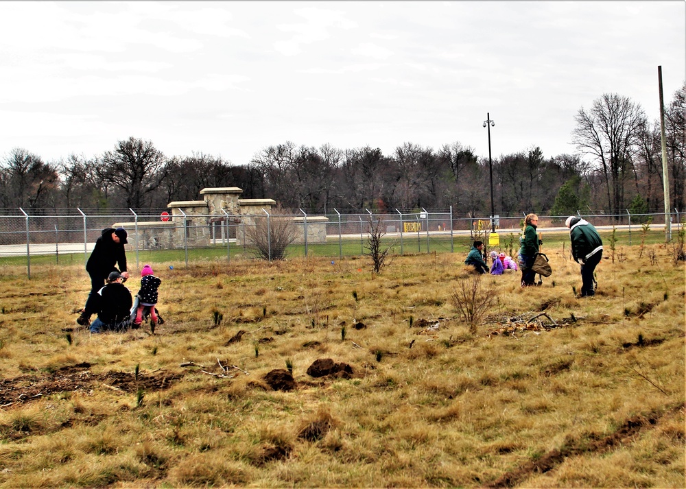 Thousands of trees planted in Fort McCoy training areas during week of Arbor Day