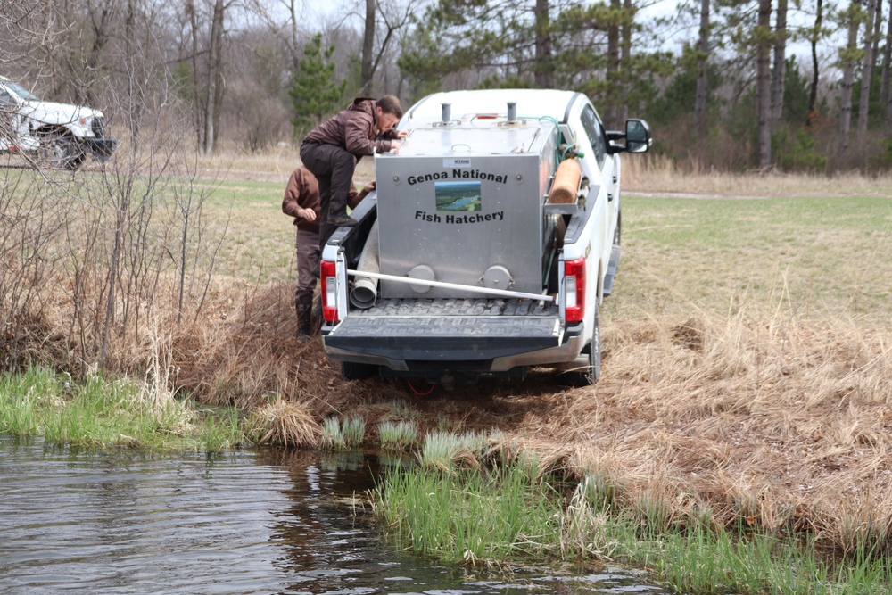 Thousands of rainbow trout stocked at Fort McCoy in time for 2022 fishing season