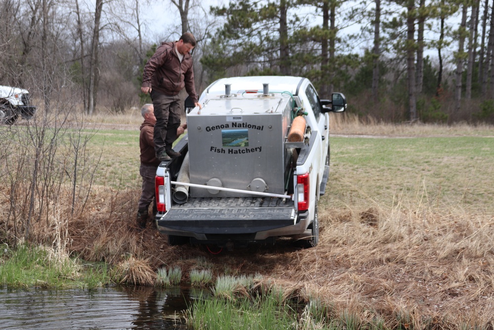 Thousands of rainbow trout stocked at Fort McCoy in time for 2022 fishing season