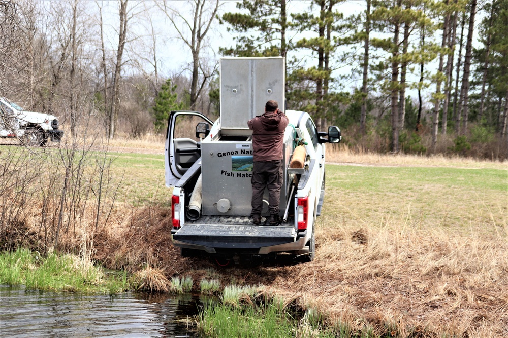 Thousands of rainbow trout stocked at Fort McCoy in time for 2022 fishing season