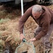 Thousands of rainbow trout stocked at Fort McCoy in time for 2022 fishing season
