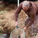 Thousands of rainbow trout stocked at Fort McCoy in time for 2022 fishing season