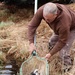Thousands of rainbow trout stocked at Fort McCoy in time for 2022 fishing season