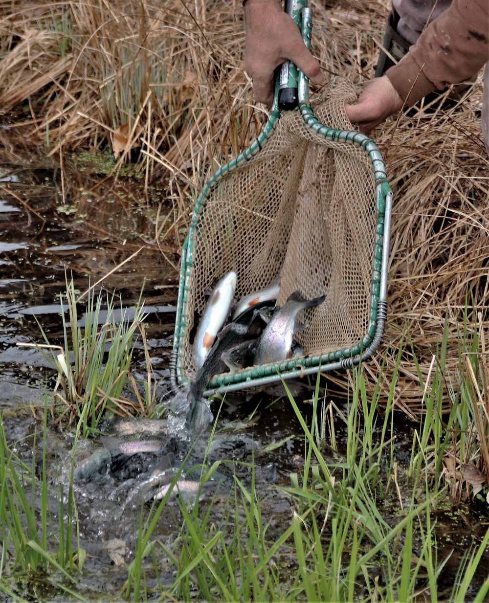 Thousands of rainbow trout stocked at Fort McCoy in time for 2022 fishing season