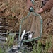 Thousands of rainbow trout stocked at Fort McCoy in time for 2022 fishing season