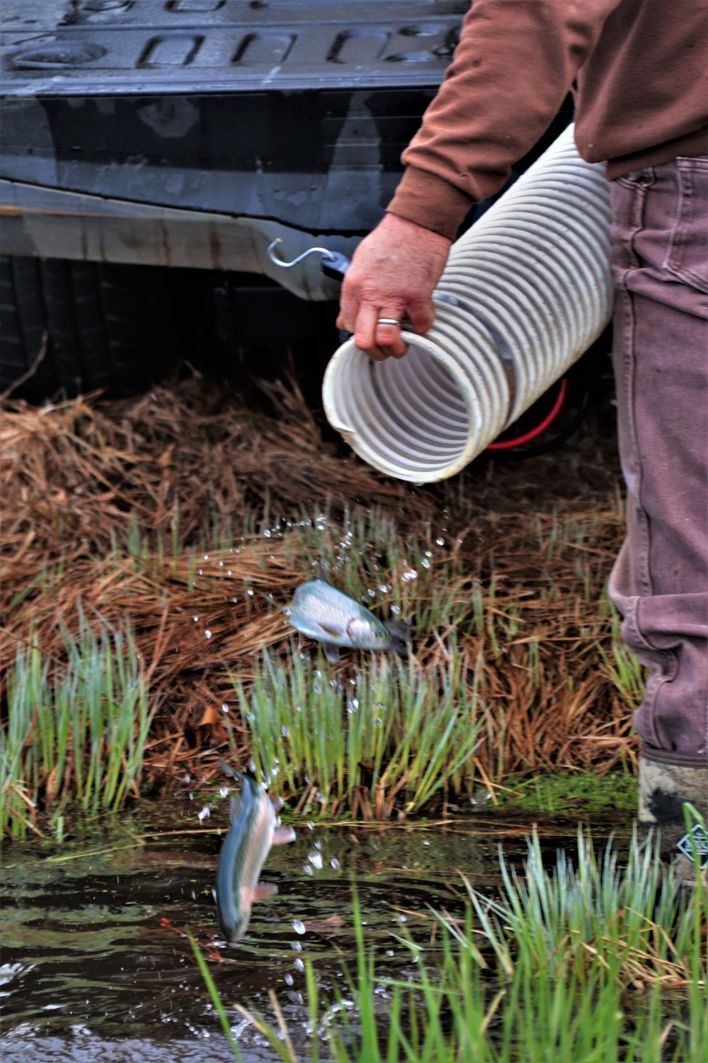 Thousands of rainbow trout stocked at Fort McCoy in time for 2022 fishing season