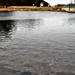 Thousands of rainbow trout stocked at Fort McCoy in time for 2022 fishing season