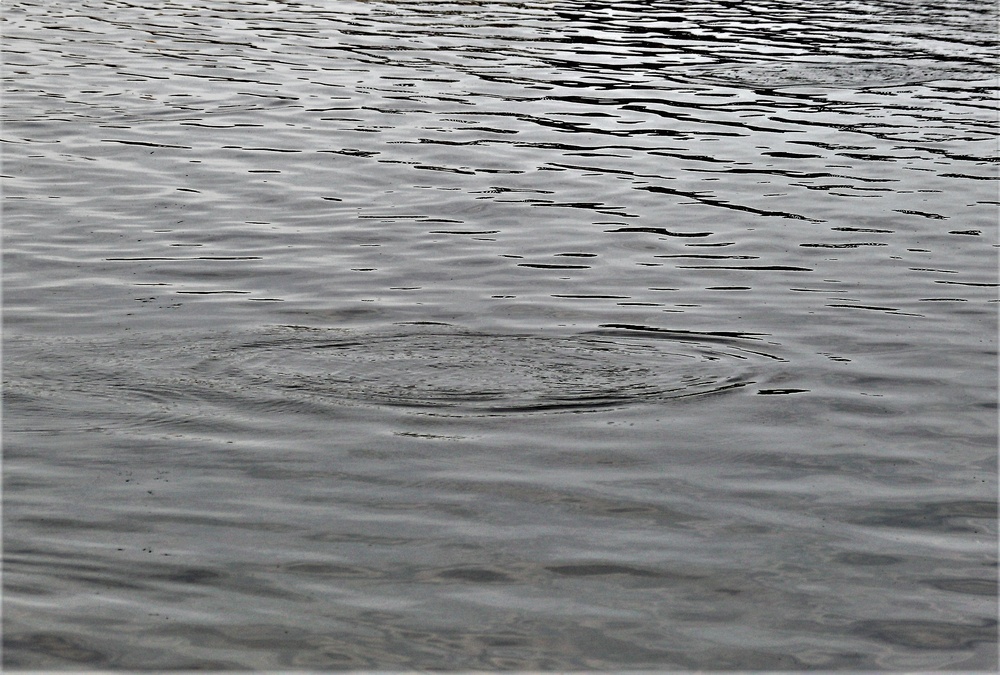 Thousands of rainbow trout stocked at Fort McCoy in time for 2022 fishing season