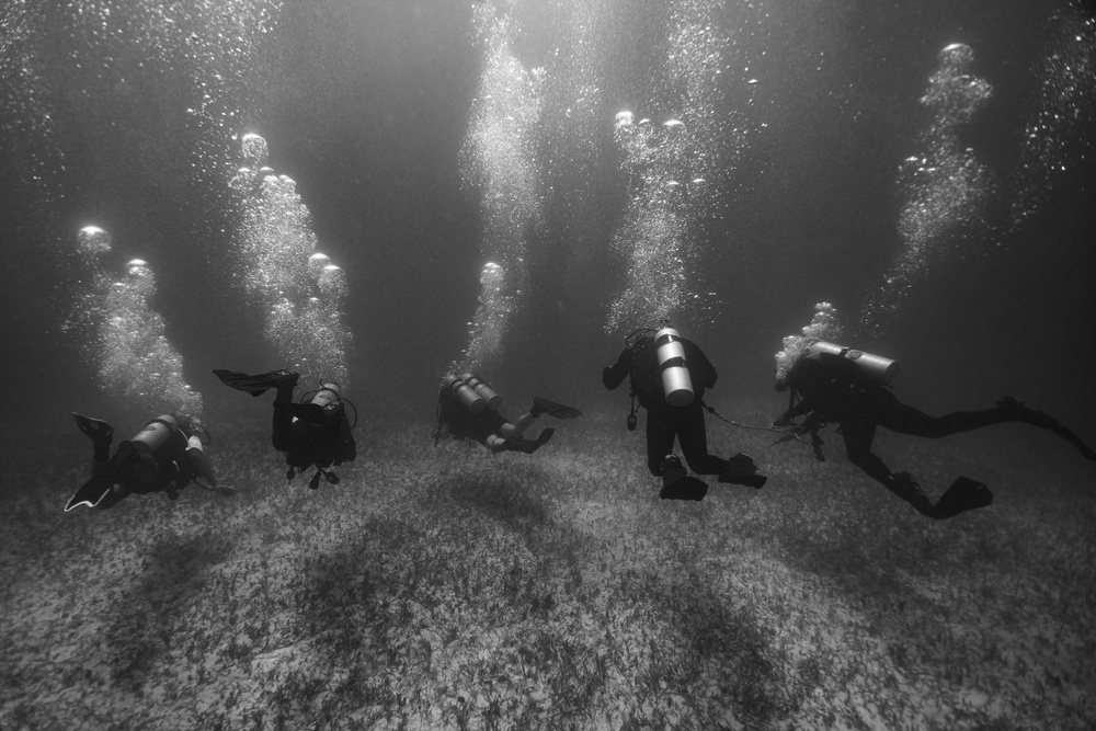 Ex TRADEWINDS 22 - Check out dive