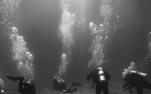 Ex TRADEWINDS 22 - Check out dive