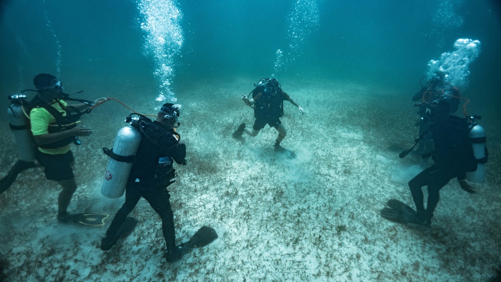 Ex TRADEWINDS 22 - Check out dive