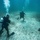 Ex TRADEWINDS 22 - Check out dive