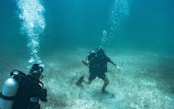 Ex TRADEWINDS 22 - Check out dive