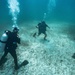 Ex TRADEWINDS 22 - Check out dive