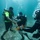 Ex TRADEWINDS 22 - Check out dive