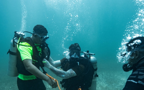 Ex TRADEWINDS 22 - Check out dive