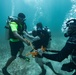 Ex TRADEWINDS 22 - Check out dive
