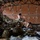 Trojan Footprint 22 tests interoperability, increases allied partnership