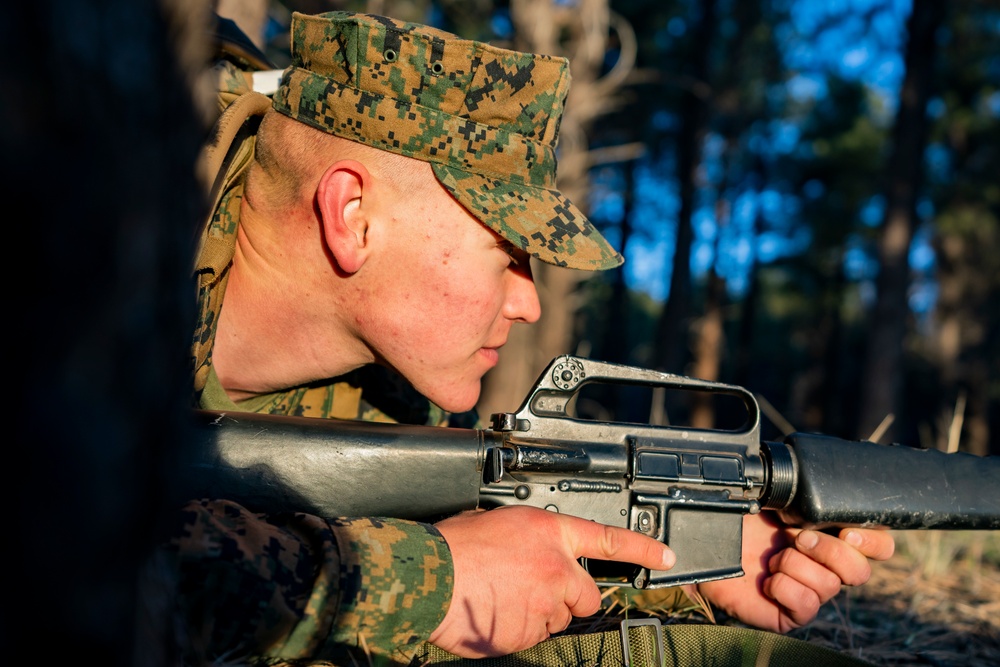 Pre OCS Training