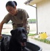 Give a dog a bath