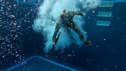 Public Health Command-Pacific Provides Support As Soldiers Compete for Coveted Best Leader Titles