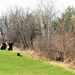 Dozens of Fort McCoy members help with Earth Day cleanup of cantonment area