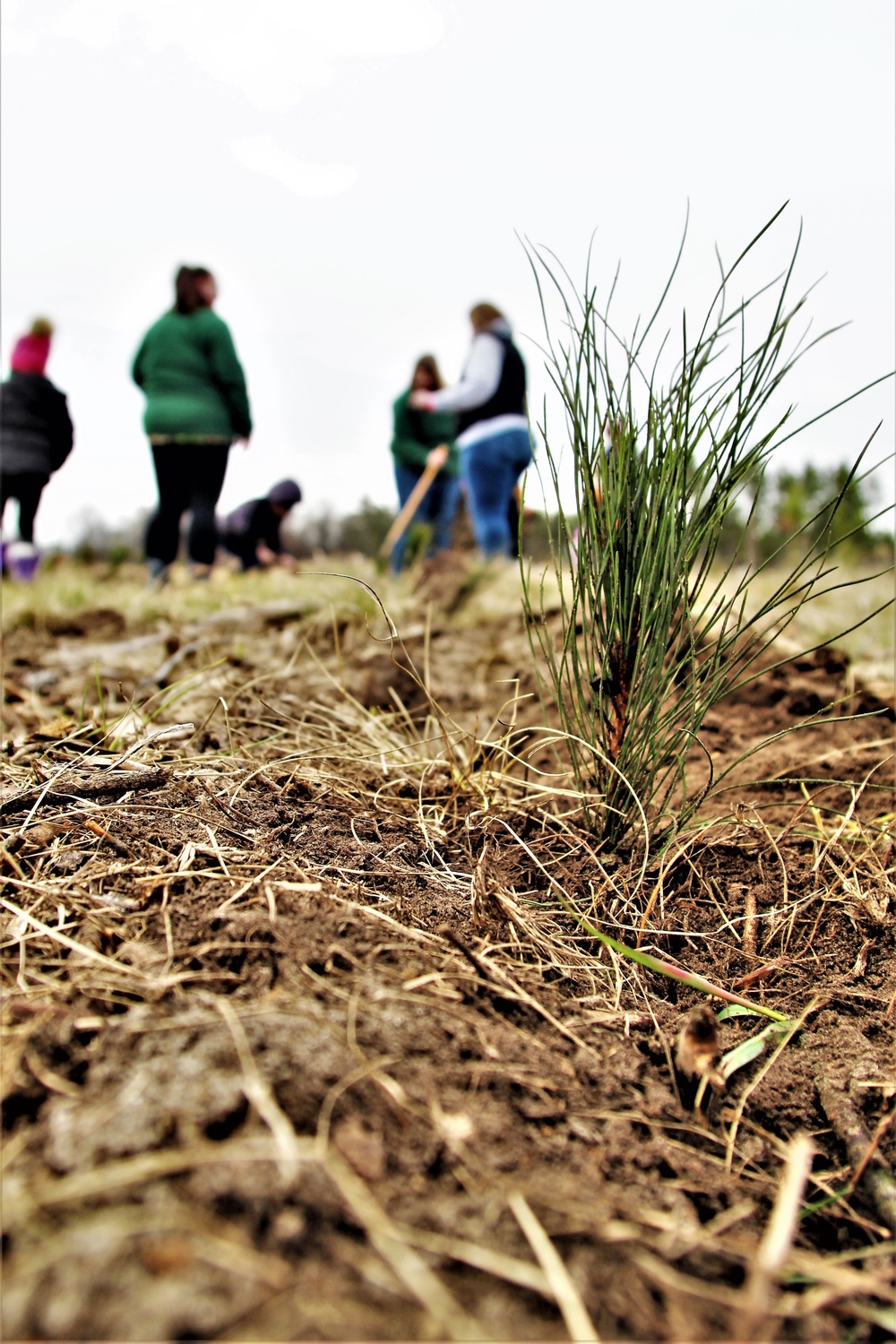 Dozens attend Fort McCoy’s 2022 Arbor Day observance, tree planting