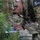 2022 Eighth Army Best Warrior and Squad Competition land navigation challenge