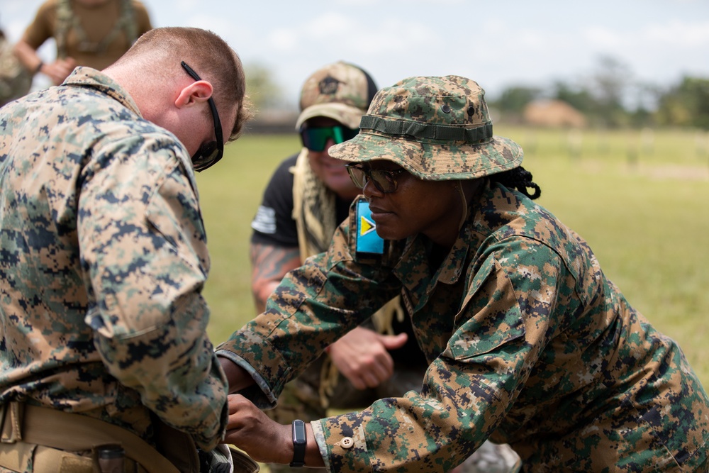 Partner nations train to give aid under fire