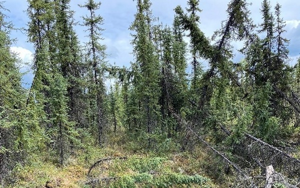 A recently opened thermokarst pit caused by the melting of ground ice