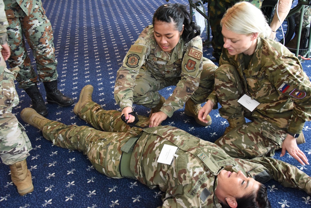USAFE-AFAFRICA hosts European-African Military Nursing Exchange conference