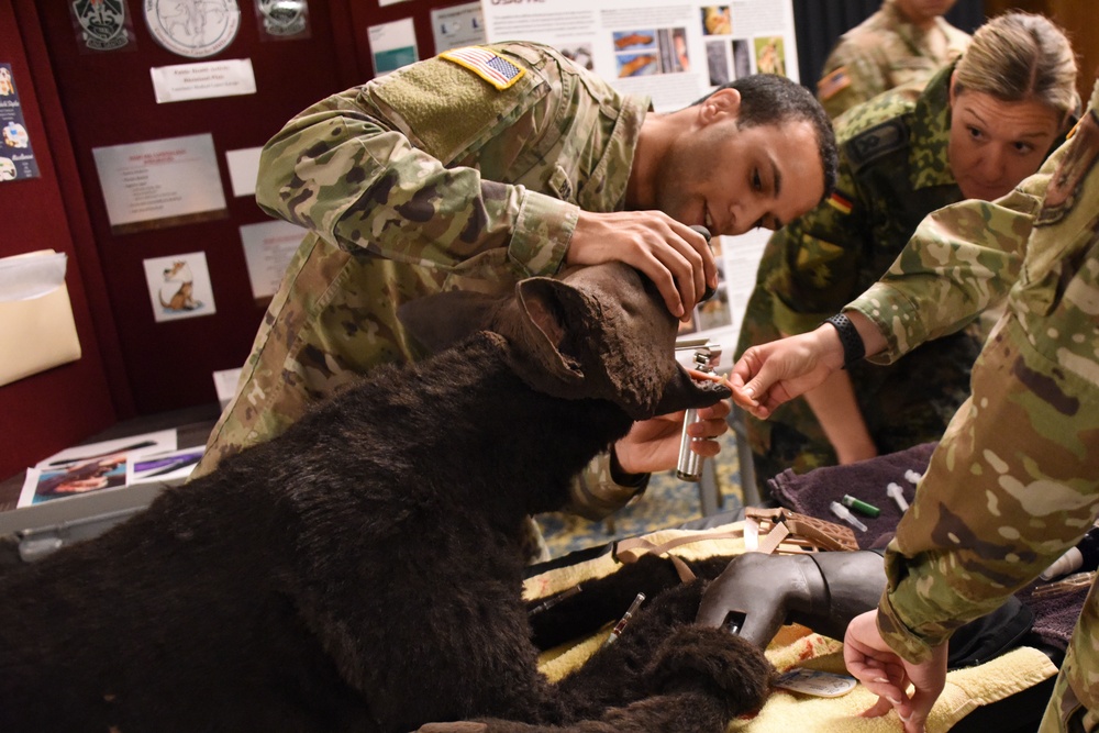 USAFE-AFAFRICA hosts European-African Military Nursing Exchange conference