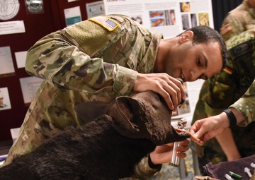 USAFE-AFAFRICA hosts European-African Military Nursing Exchange conference
