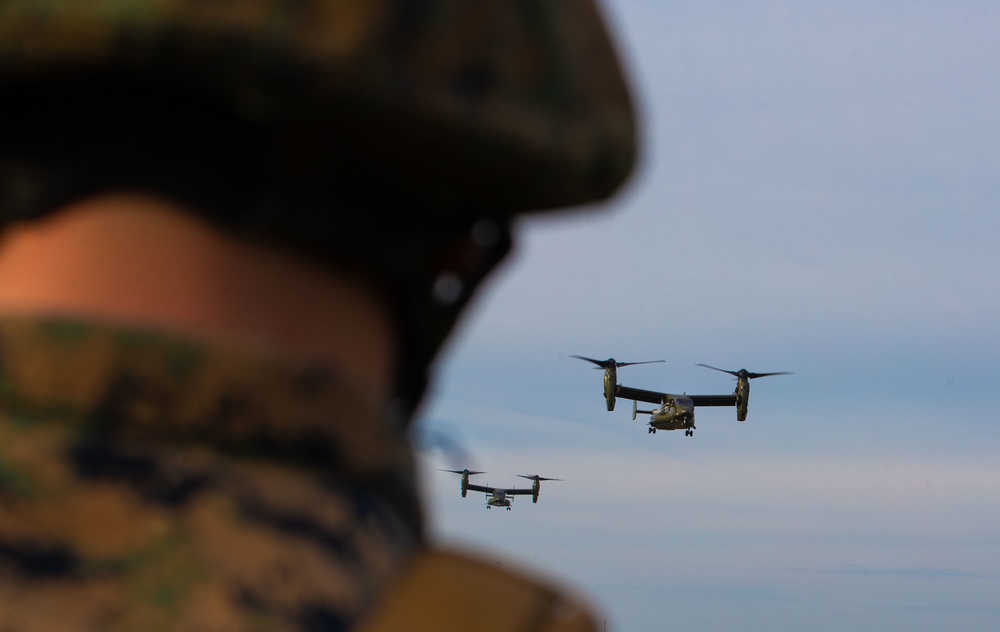 Marines from the Barracks execute live-fire training in Quantico