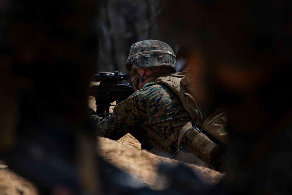 Marines from the Barracks execute live-fire training in Quantico