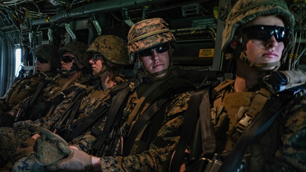 Marines from the Barracks execute live-fire training in Quantico