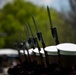Silent Drill Platoon performs for Honor Flight Network at Lincoln Memorial