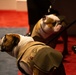 Private Chesty XVI relieves Lance Cpl. Chesty XV as the official Marine Corps mascot