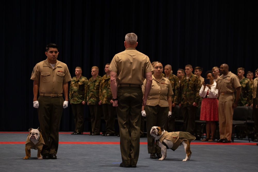 Private Chesty XVI relieves Lance Cpl. Chesty XV as the official Marine Corps mascot