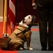 Private Chesty XVI relieves Lance Cpl. Chesty XV as the official Marine Corps mascot