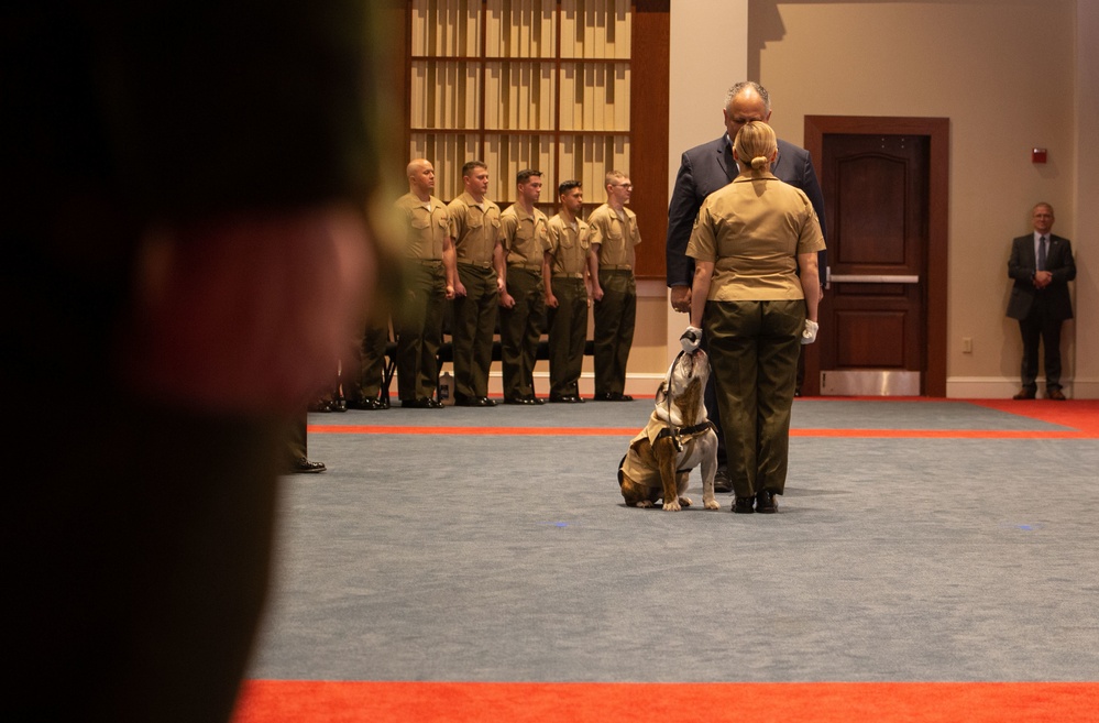 Private Chesty XVI relieves Lance Cpl. Chesty XV as the official Marine Corps mascot